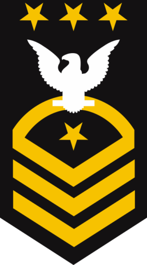 Navy E-9 Master Chief Petty Officer of the Navy (Gold) Decal