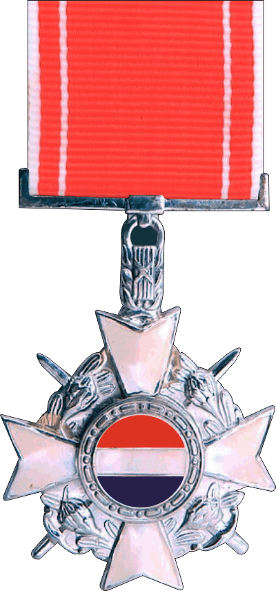 Republic of South Africa Honoris Crux Medal Decal