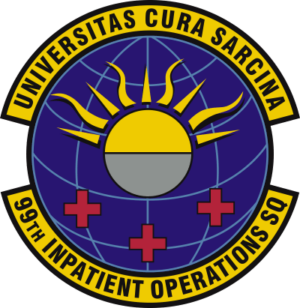 99th Inpatient Operations Squadron Decal