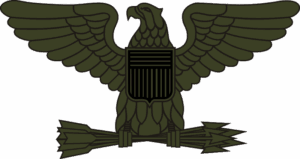 Army COL Colonel - Left (Subdued) Decal