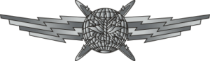 Air Force Cyberspace Operator Badge - Basic Decal