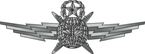 Air Force Cyberspace Operator Badge - Master Decal