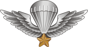 Vietnam Jump Wings Decal (v1)